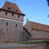 malbork 95